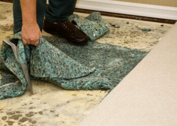 How_to_Dry_Wet_Carpet