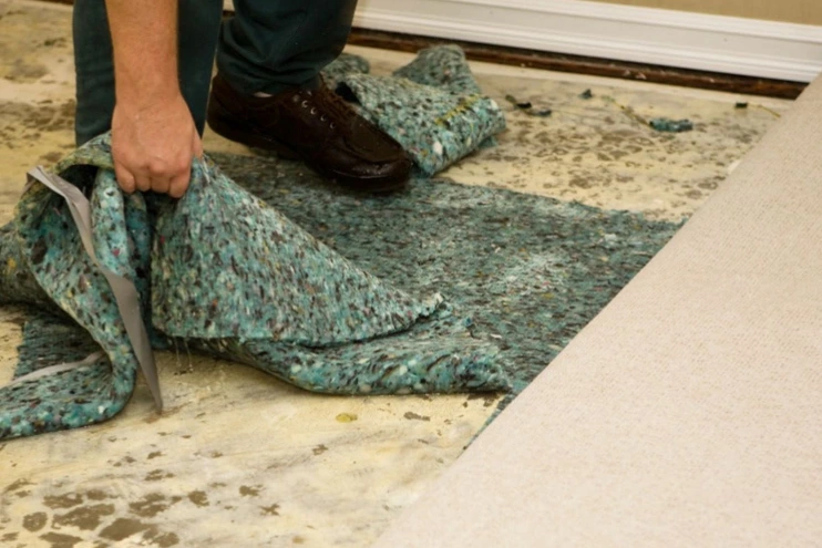 Wet Basement Carpet Seattle