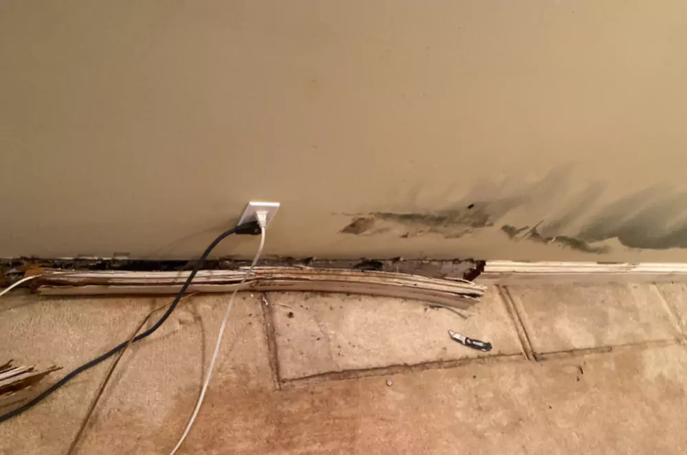 Mold Control Seattle