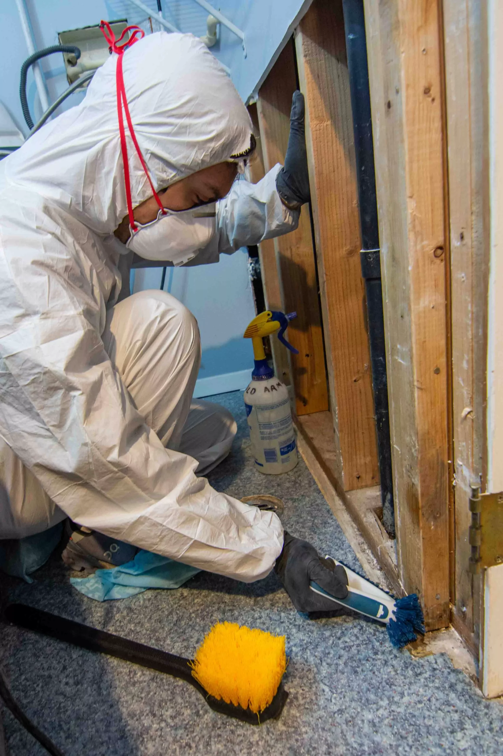 Mold Remediation Scrubbing Mold Solution