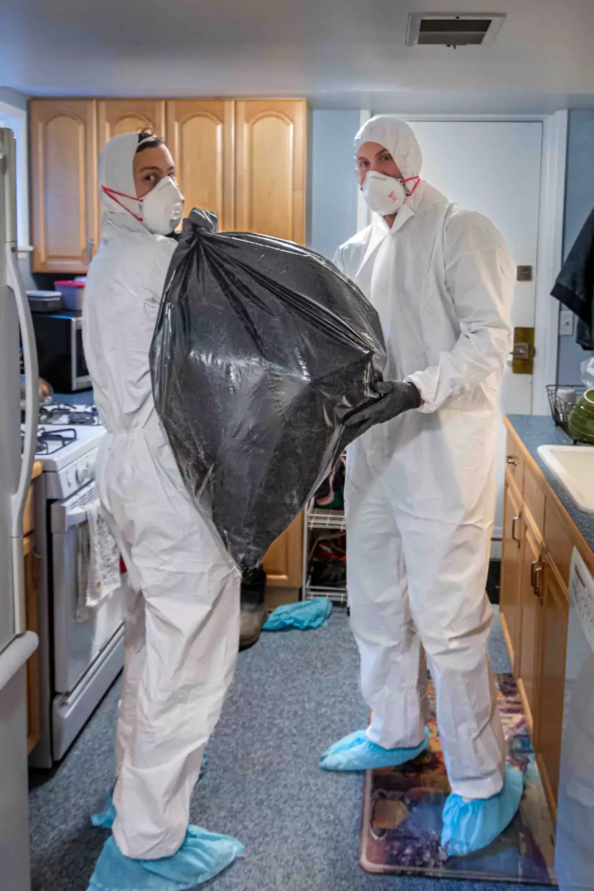 Mold Removal Sealed Bag Seattle